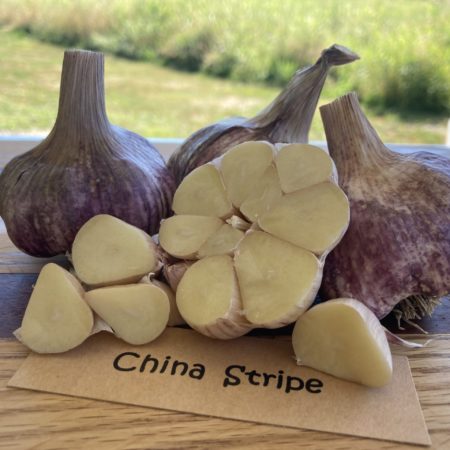 2025 China Stripe Garlic