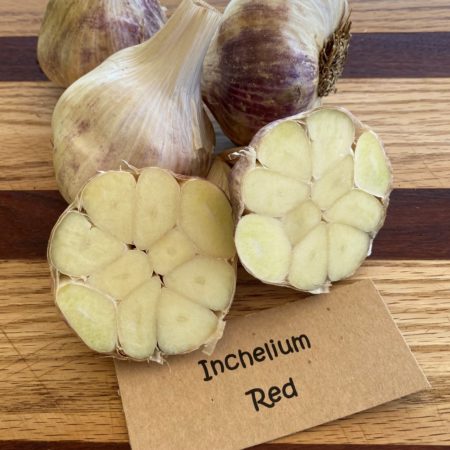 2025 Inchelium Red Garlic