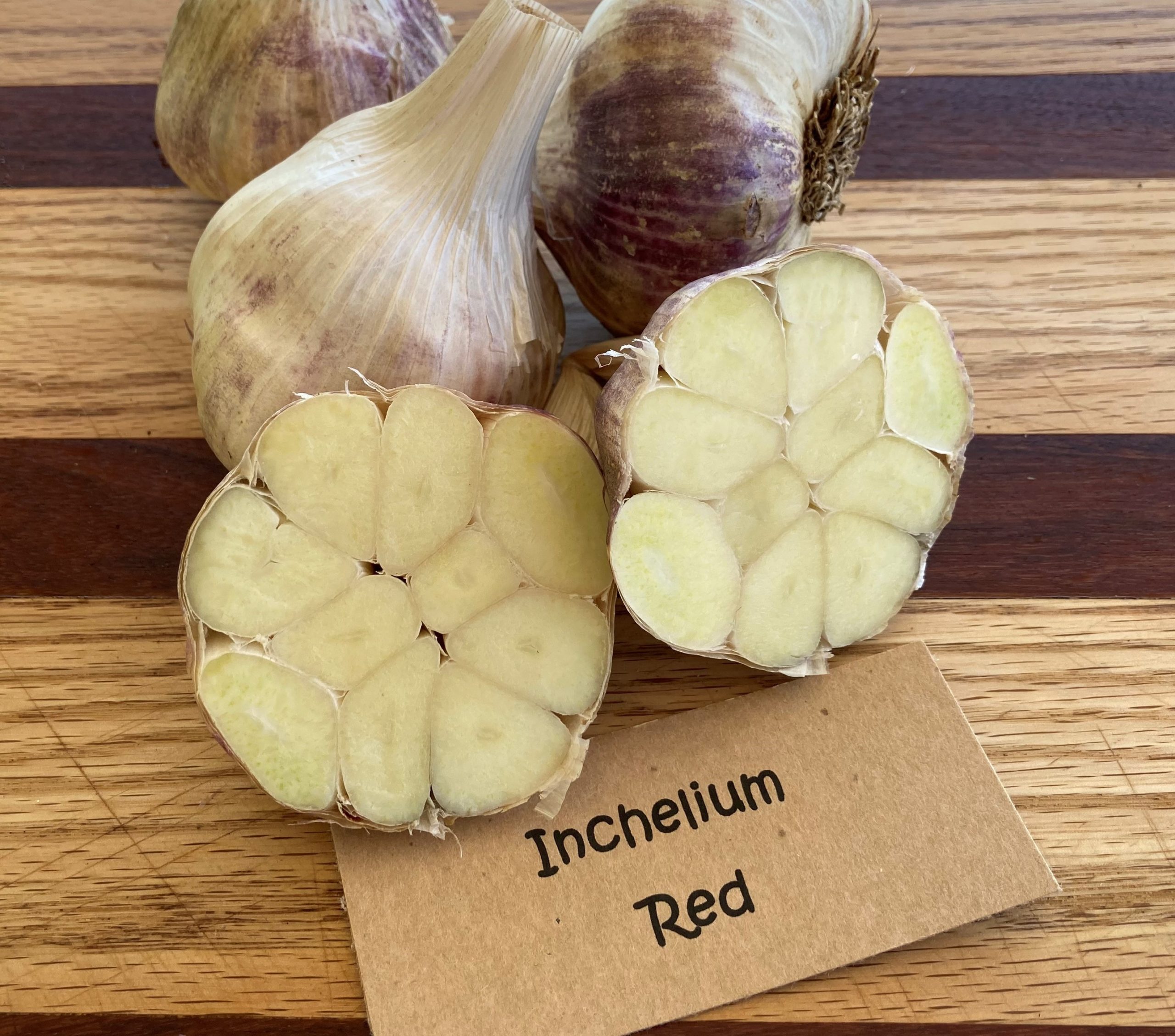 2023 Inchelium Red Garlic Rainier Gardens Farm Llc