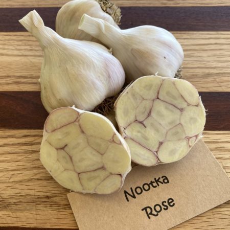 2025 Nootka Rose Garlic