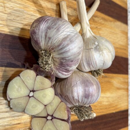 2025 Vekan Garlic