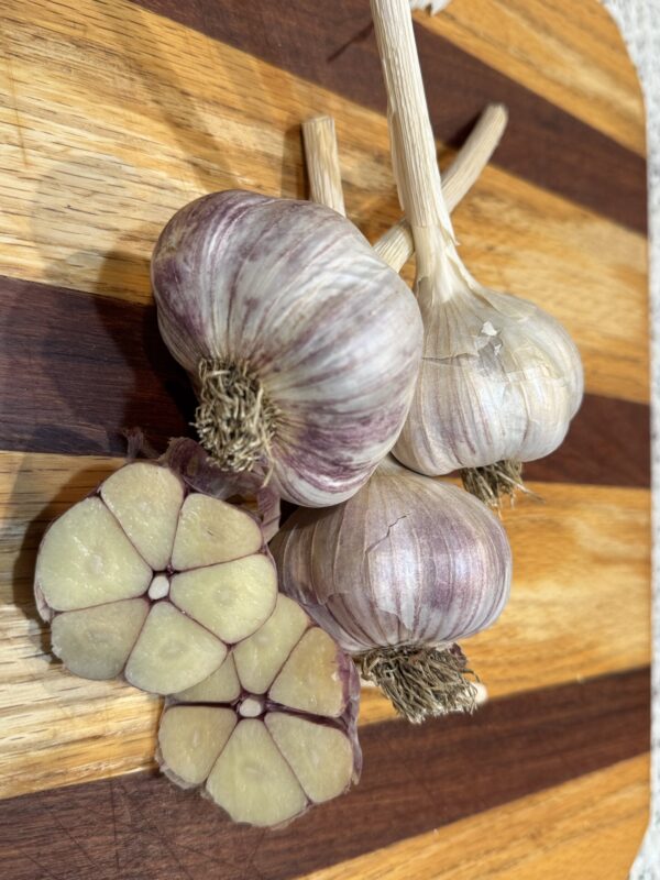 2025 Vekan Garlic