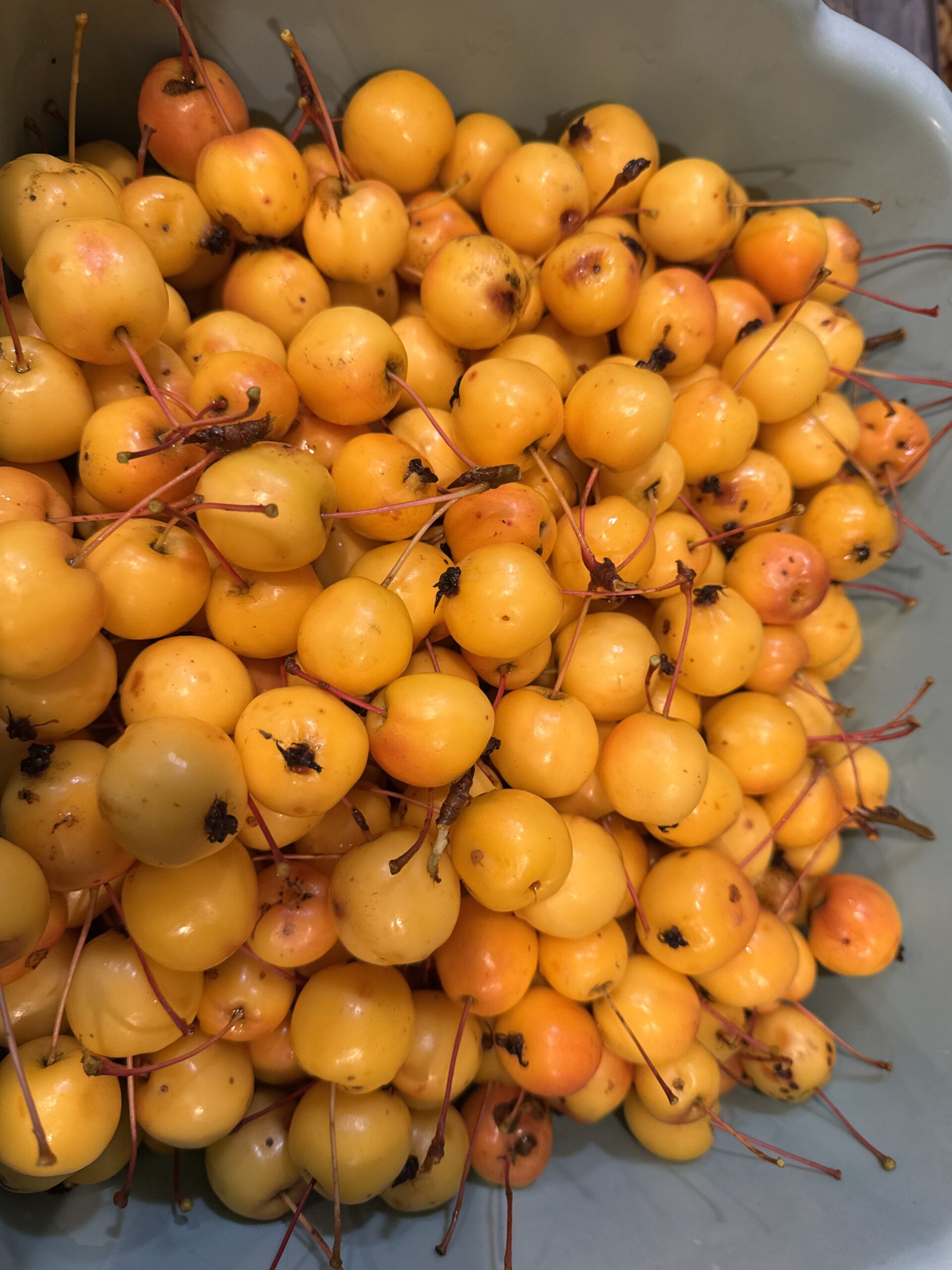 Crabapple Jelly - Image 3